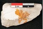 Foto (Detailansicht) von Plantae indet.  (NHMW-GEO-2024-0188-10388)